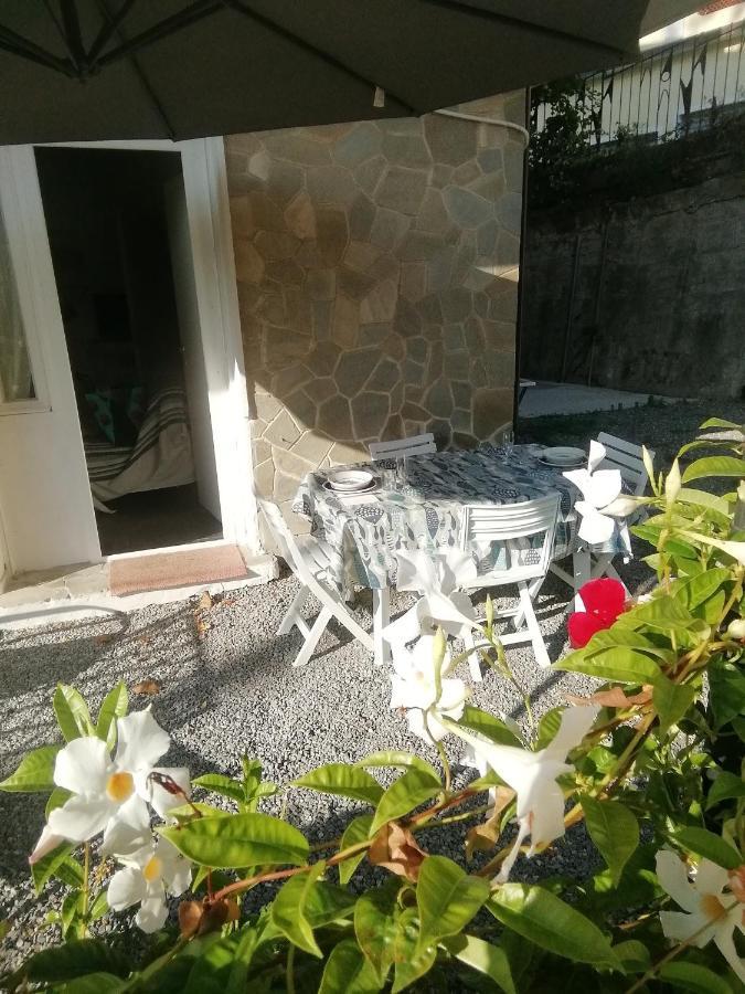 Villa Daniela - Mare E Relax Sanremo Eksteriør bilde